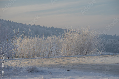 Wallpaper Mural Zima, szron, zimowy klimat Torontodigital.ca