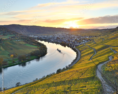 colorful vineyards at moselle valley 