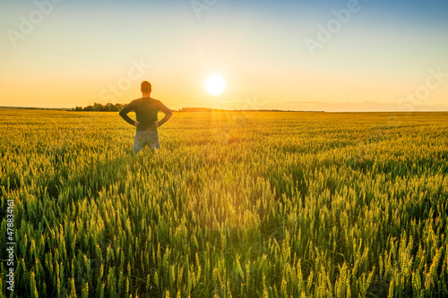 man looking at beautiful sunset and feeling joy in a wheaten shiny field with golden wheat and sun glow on the background, amazing sky and rows of wheat leading far away, valley landscape