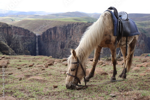 Horsebackriding to the Maletsnyane Falls, Lesotho photo