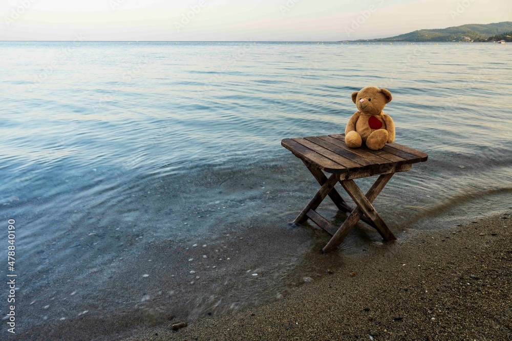 Teddy bear sits on the table and watches sunrise.