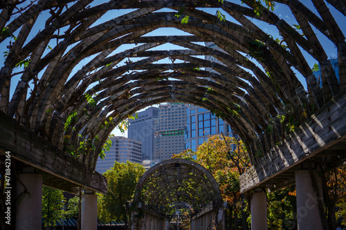 View of weaved wooden arched tunnel in the city of Boston