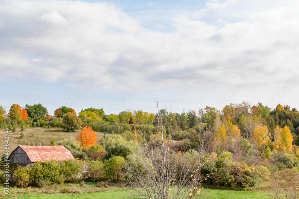 autumn landscape with barn