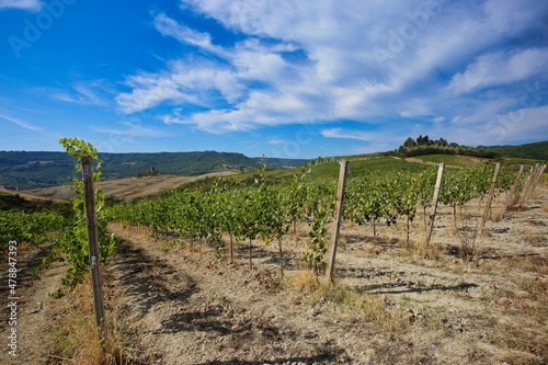 natural landscape of tuscany, villa on the hill among vineyard