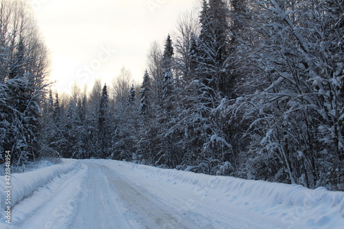 a highway in a winter forest covered with snow