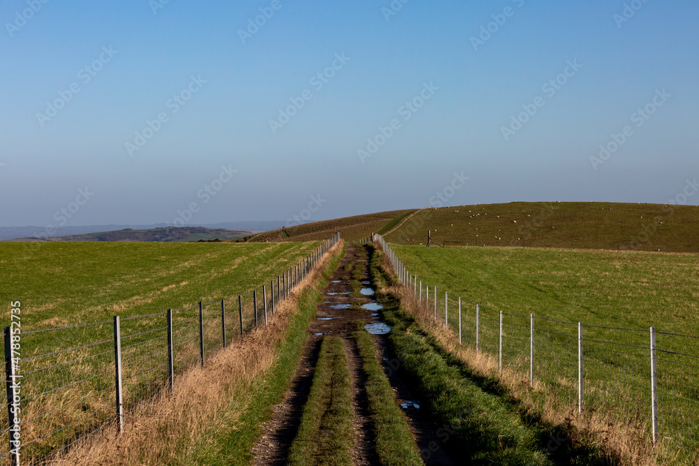 Puddles on a pathway through the Sussex countryside, on a sunny winters day