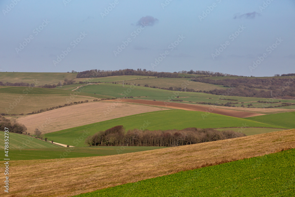 Rolling fields in the South Downs on a sunny winters day