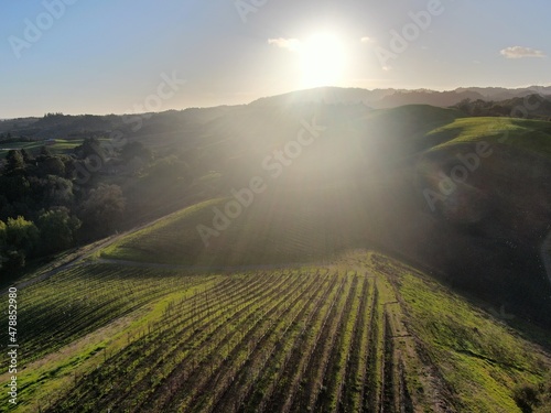 Aerial Photo Healdsburg Vineyards California