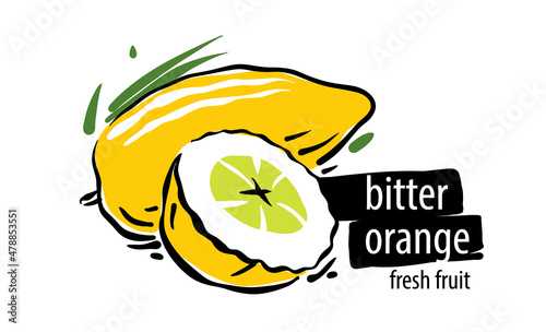 Drawn vector bitter orange on a white background