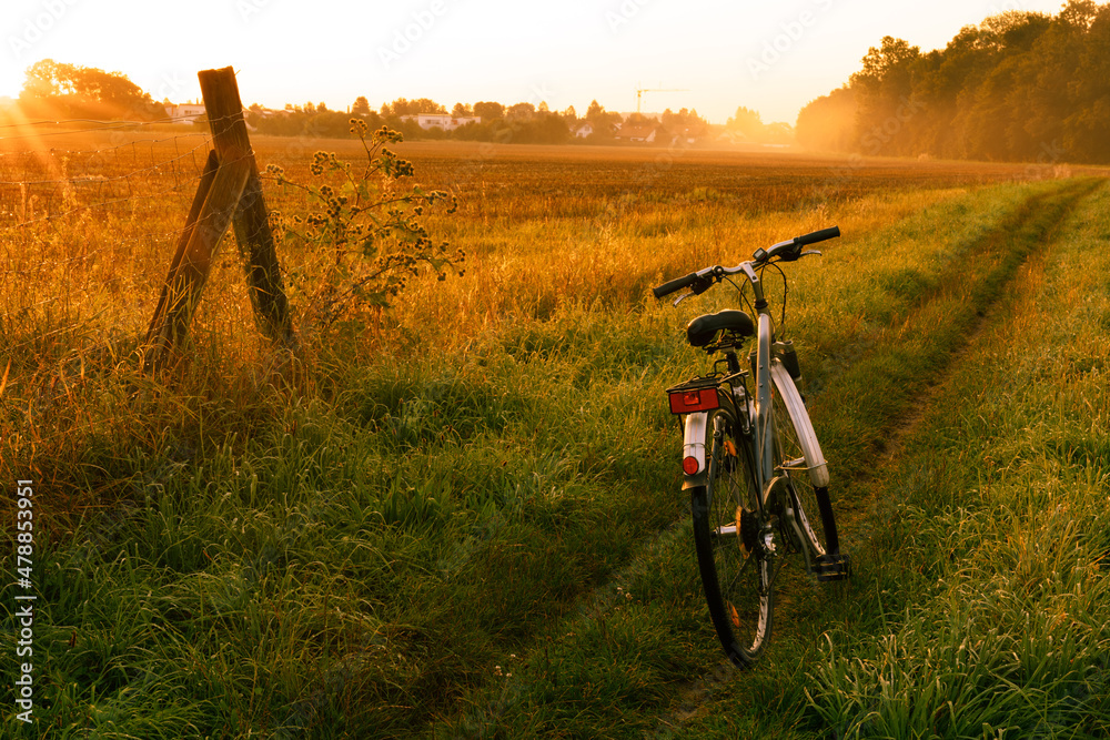 bike on the field