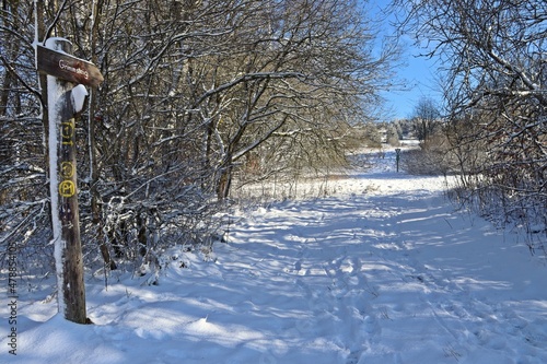 Der Grimmsteig auf dem Meissner im Winter photo