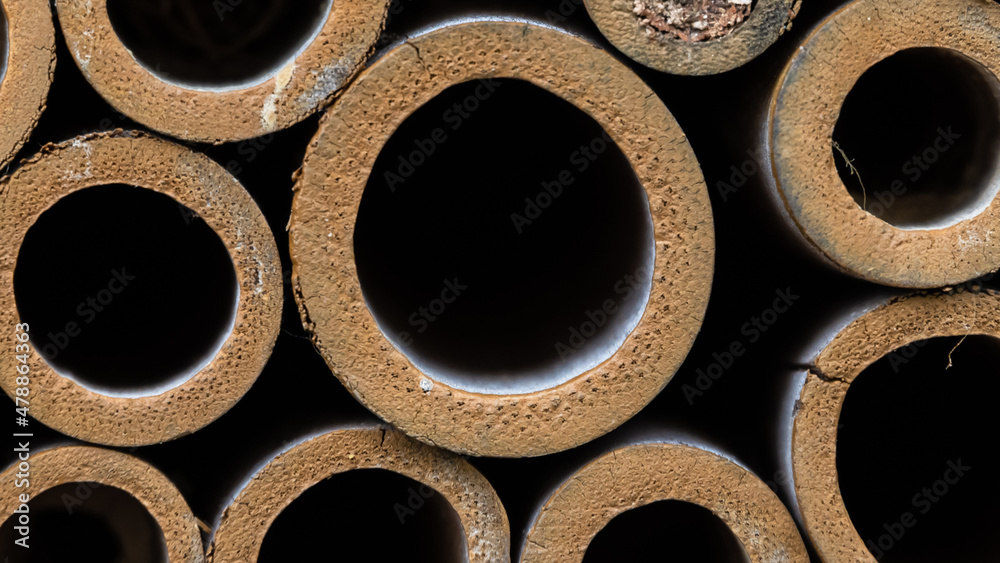 Nature Abstract: Close Look at a Collection of Bee Tubes Nature Abstract: Close Look at a Collection of Bee Tubes