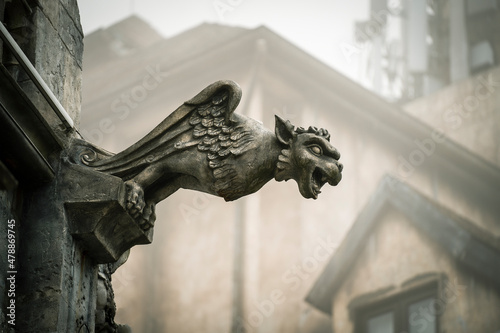 Murais de parede Gargoyle statue, chimeras, in the form of medieval winged monster, from the roya