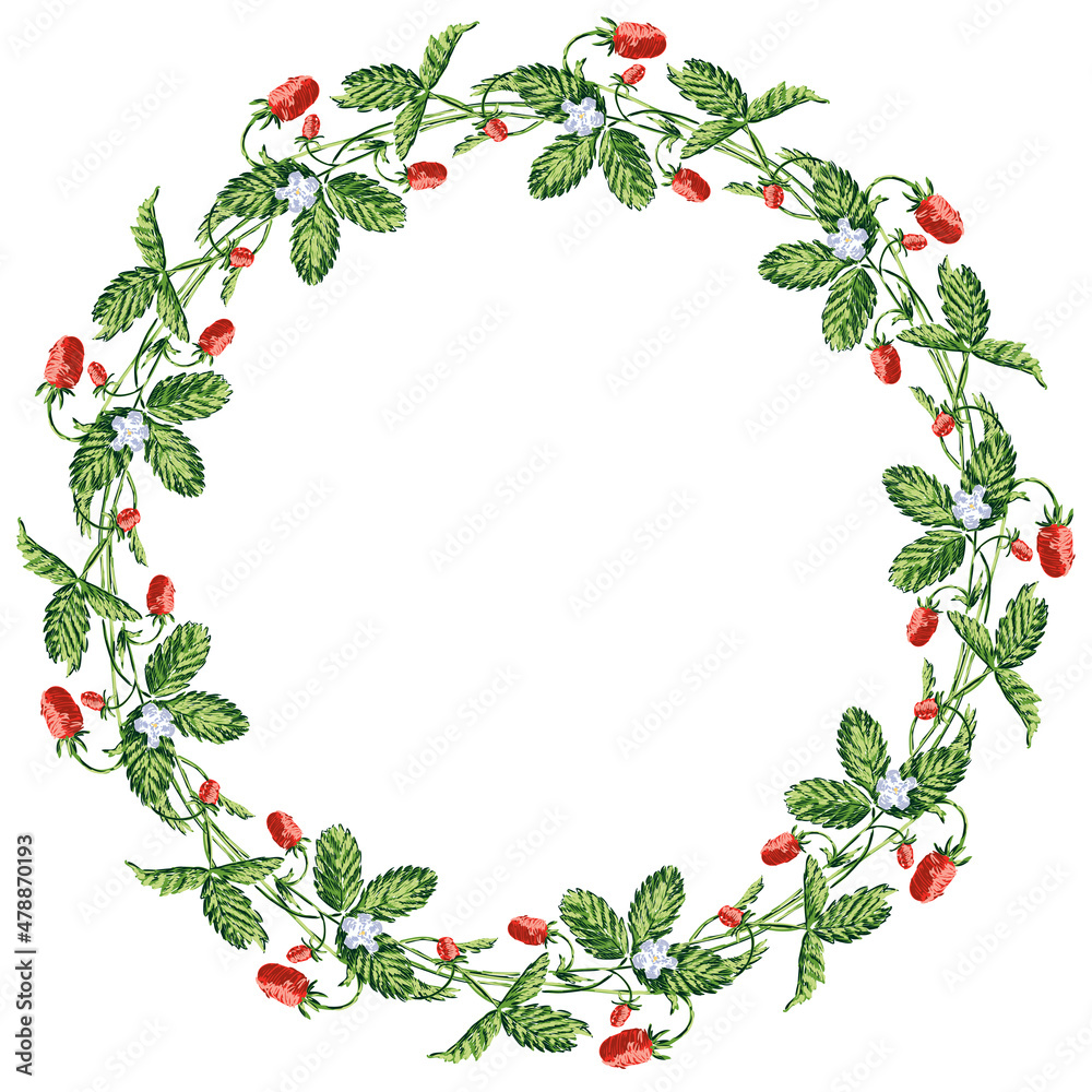 Decorative wreath from drawn sprigs wild ripe strawberries