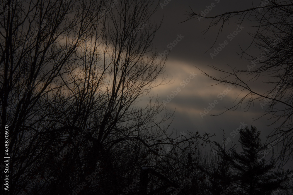 Naklejka premium Sun rays breaking through the cloudy Canadian winter sky