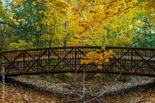 Cavendish Park in autumn, Brant Hills, Burlington, Ontario, Canada