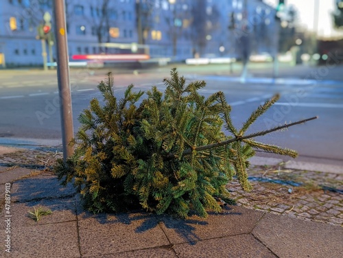 Weihnachtsbäume liegen auf der Straße und werden mit dem Müll entsorgt
