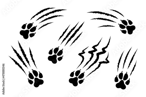 Set of animal paw print silhouette with claw marks, scratches, talons cuts cat, tiger, dog, lion, monster isolated on white background. Vector flat illustration. Design for animal print, banner