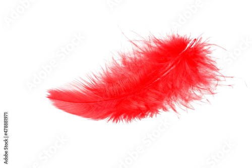 Red fluffy feather flying isolated on white