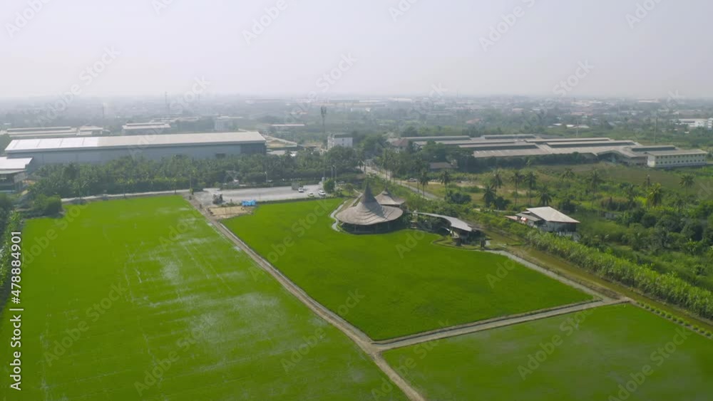 Aerial view of Chata Thammachart, a coffee shop in Sam Phran, Nakhon Pathom Province, Thailand. Asian paddy rice in green agricultural fields in countryside or rural area in Asia. Nature landscape