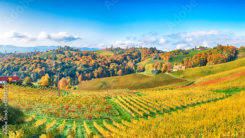 Fabulous vineyards landscape in South Styria near Gamlitz.