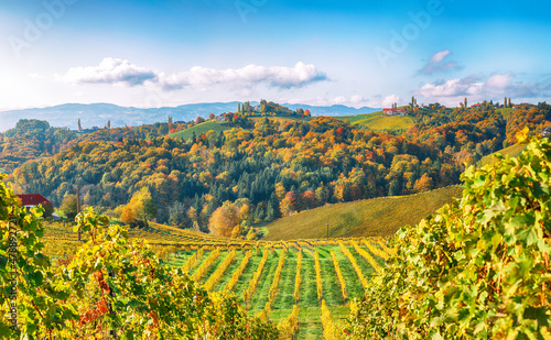 Fabulous vineyards landscape in South Styria near Gamlitz.