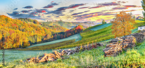 Splendid vineyards landscape in South Styria near Gamlitz.