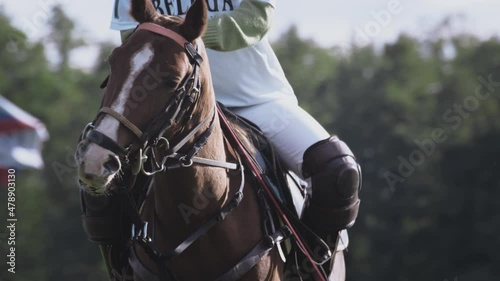 Polo game, two teams on horseback in slow motion. Horseback riding. Polo in the grass arena, equestrian sports in the stadium. Strikes the ball with a wooden mallet. Luxury polo club for celebrities. photo