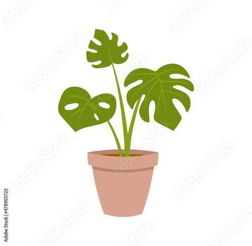Living room decoration concept. Colorful sticker with beautiful potted houseplant. Organic element of interior design. Leave and branche. Cartoon flat vector illustration isolated on white background