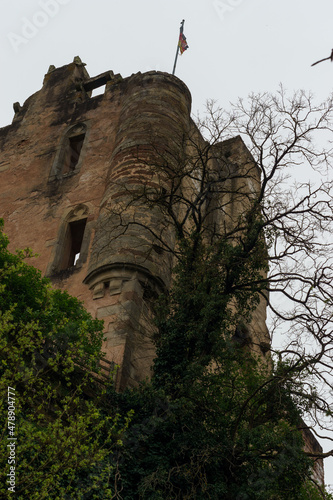 Old medieval fortress ruins castle of Ramstein at Butzerbachtal near Trier, Germany photo