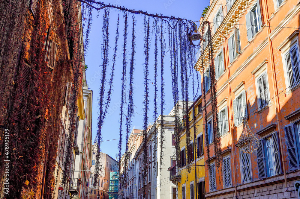 Fototapeta premium Roman windows with wooden shutters, and walls covered with vine, blue sky, hanging rapevine in a sunny winter day in Rome Italy