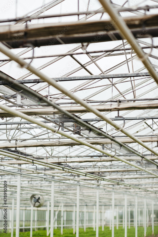 Beautiful roof above Greenhouse Beautiful roof above Greenhouse