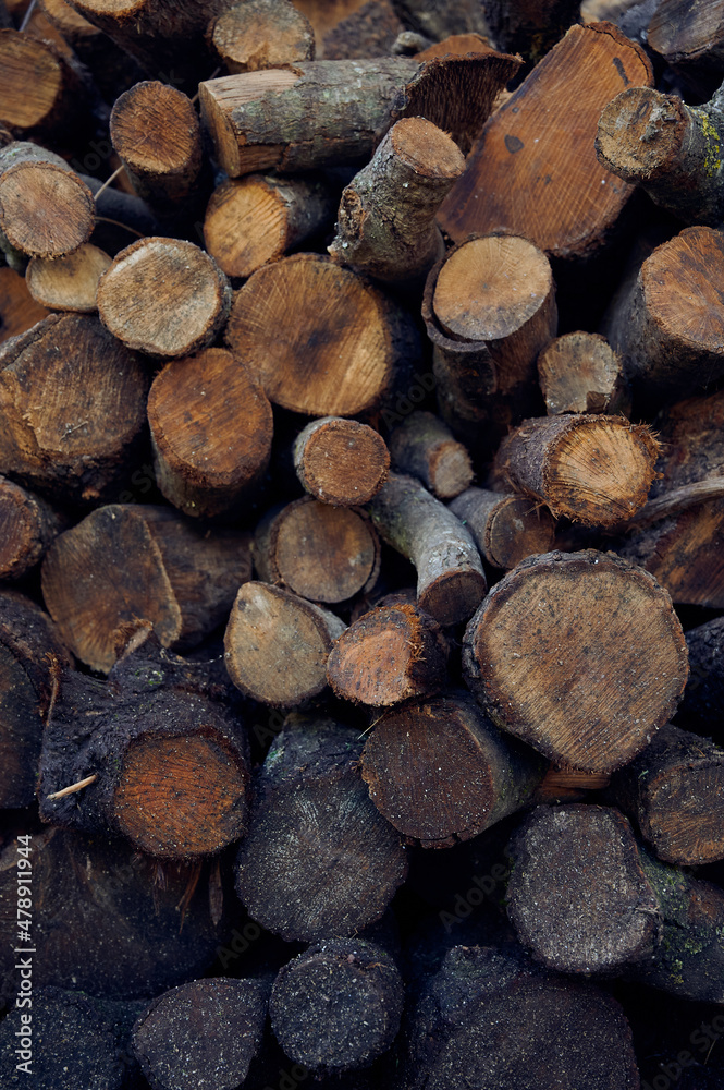 Pile of wood logs and stone wall background. Holm oak wood storage in a sawmill where firewood is produced. Raw materials concept.