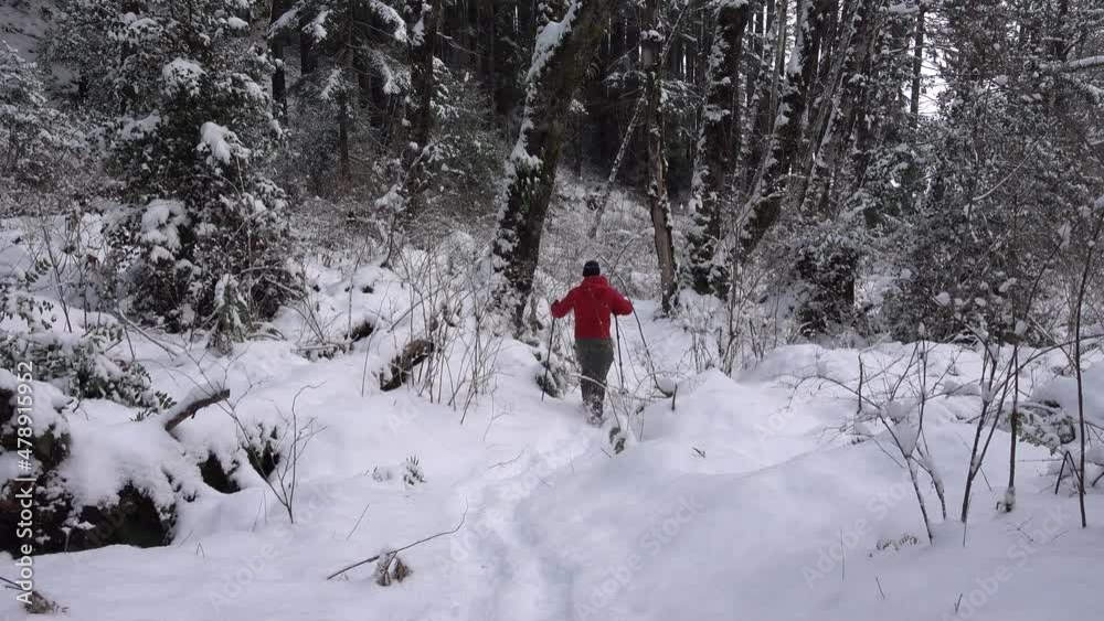 Man Snowshoeing into a Forest Man Snowshoeing into a Forest