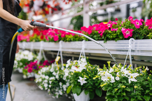 Incognito gardener splashing fresh water to plants photo