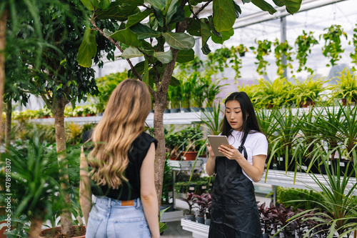 Female staff telling information to buyer about trees photo