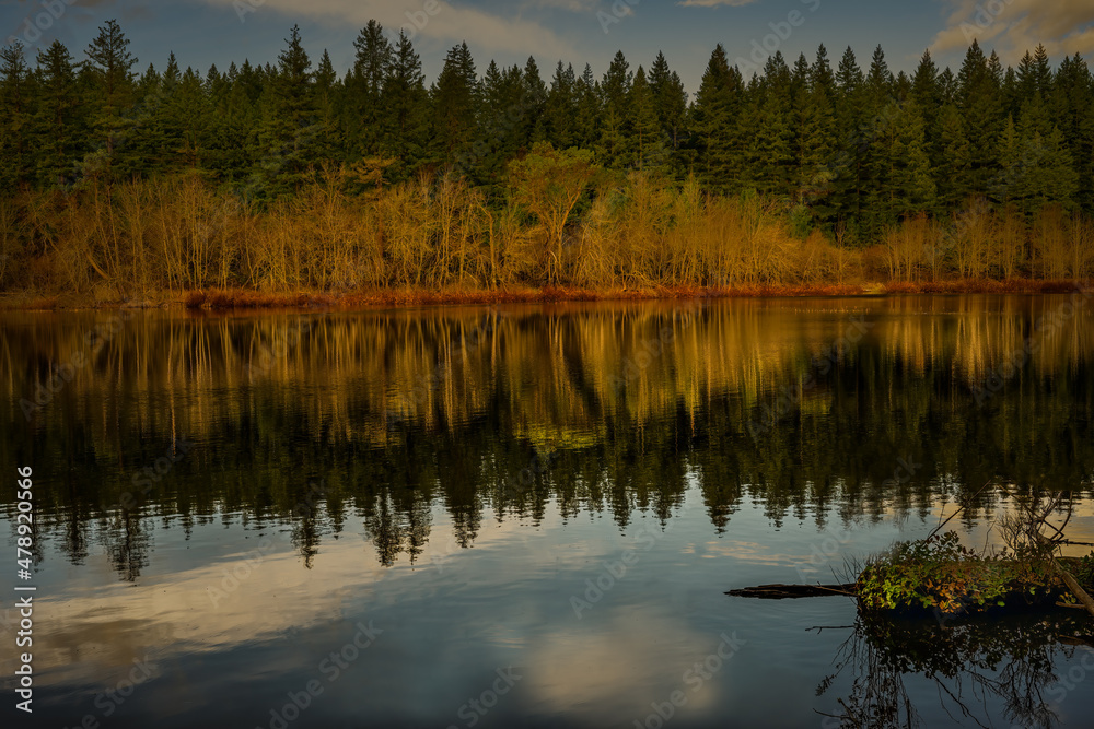2022-01-06 TRADITION LAKE ON TIGER MOUNTAIN IN THE PACIFIC NORTHWEST WITH FALL COLORS AND A REFLECTION IN THE LAKE