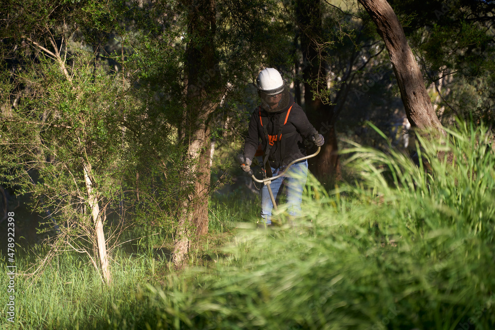 Clearing large acreage using brush cutter Clearing large acreage using brush cutter