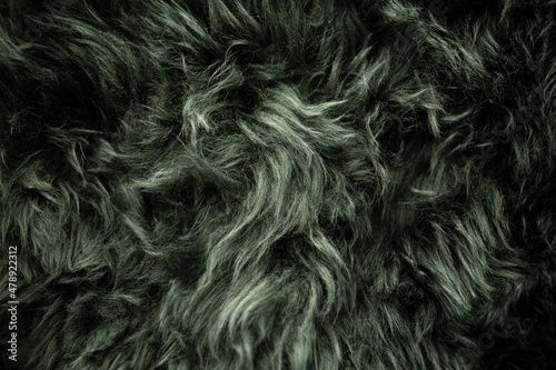 Background Of Green Fur photo
