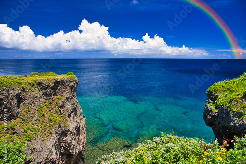 Fototapeta Naklejka Na Ścianę i Meble -  沖縄の美しいサンゴ礁の海