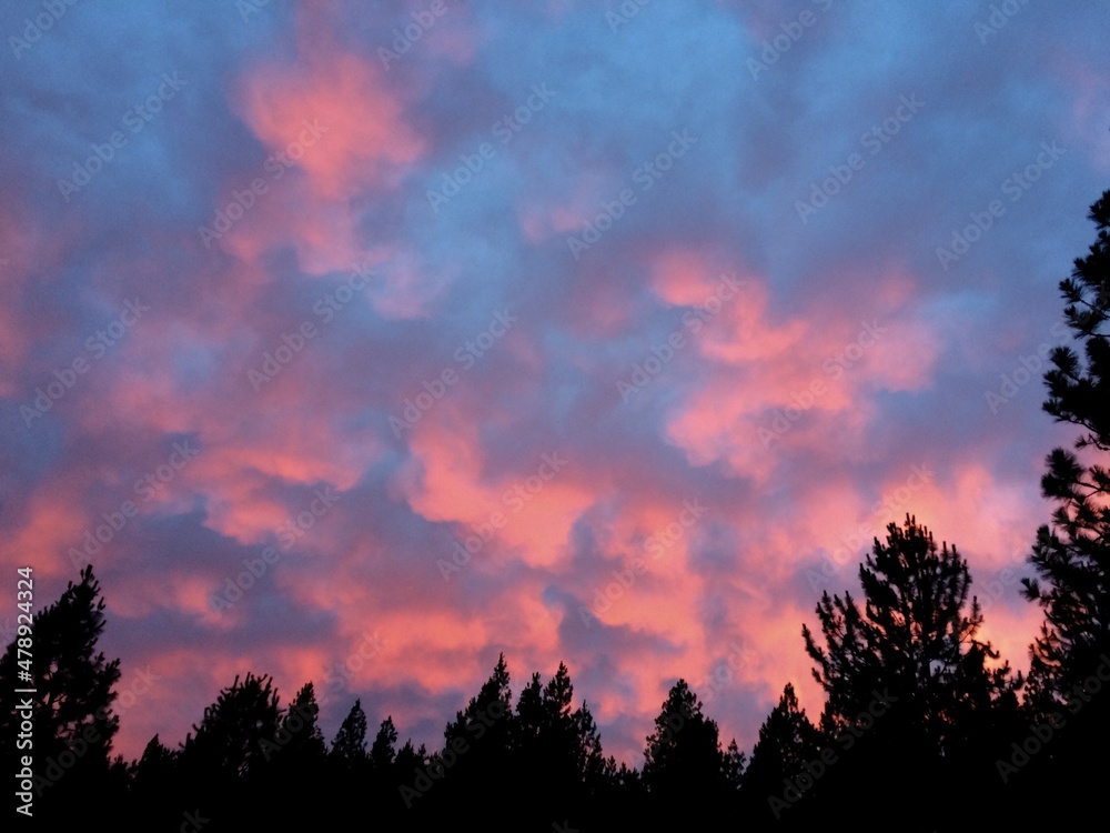 Fototapeta premium Cotton Candy Sunset