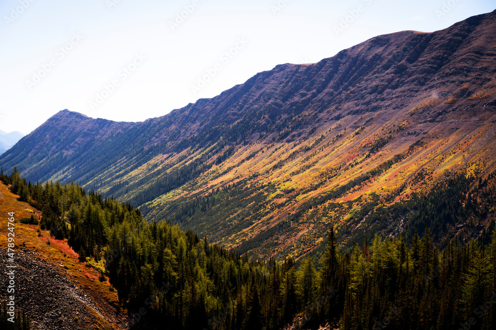 The fall colors in the Rocky Mountains The fall colors in the Rocky Mountains
