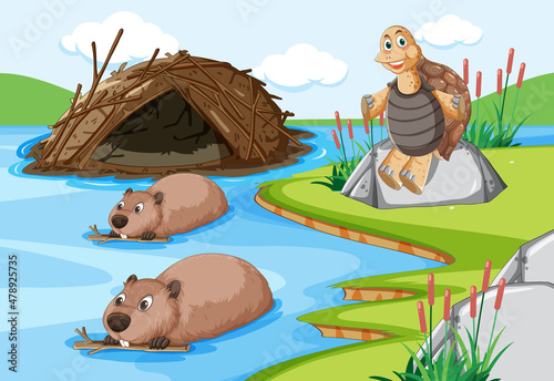 Forest scene with beavers living in dam and a tortoise