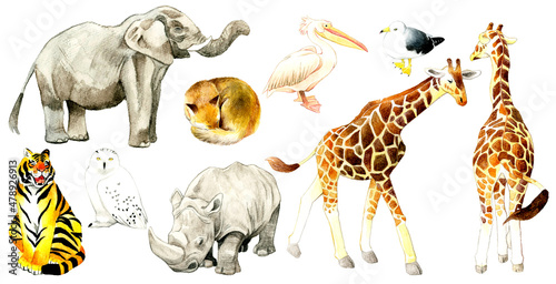 動物園の生き物の絵セット 手描き水彩イラスト素材集