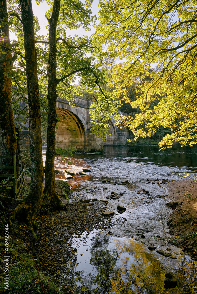Light through autumnal trees on the River Lune. Light through autumnal trees on the River Lune.