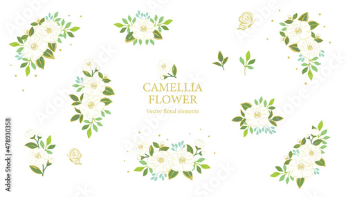 White camellia flowers illustration set  Vector floral elements.