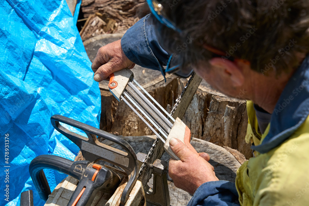 Sharpening a chainsaw Sharpening a chainsaw