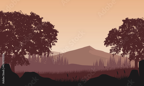 Warm afternoon atmosphere with great natural views from the village.