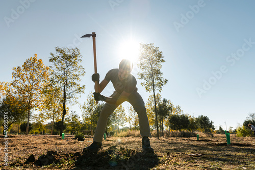 Volunteer gardener planting trees photo