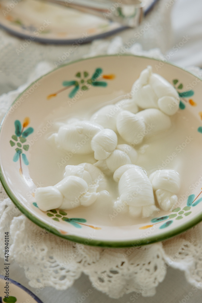 Homemade mozzarella on a plate Homemade mozzarella on a plate
